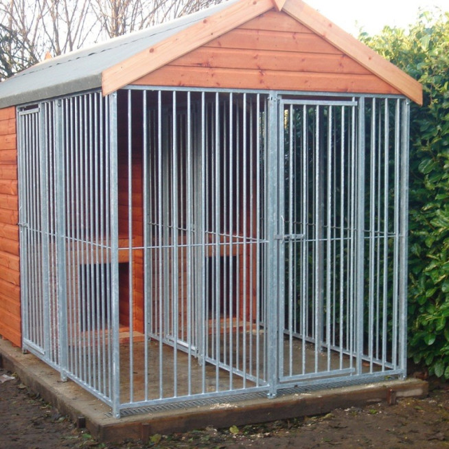 APEX DOG RUN