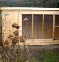 DOG RUN