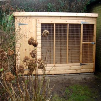 DOG RUN