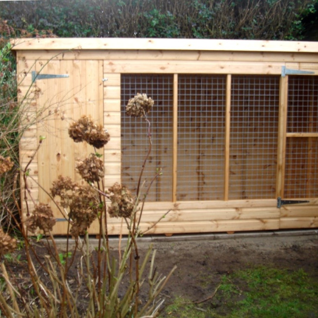 DOG RUN