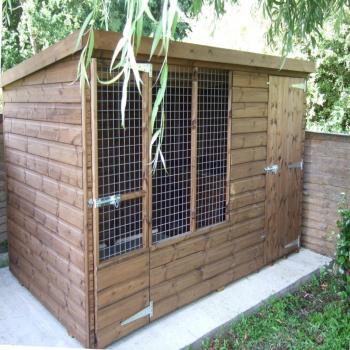DOG RUN