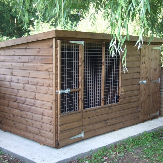 DOG RUN
